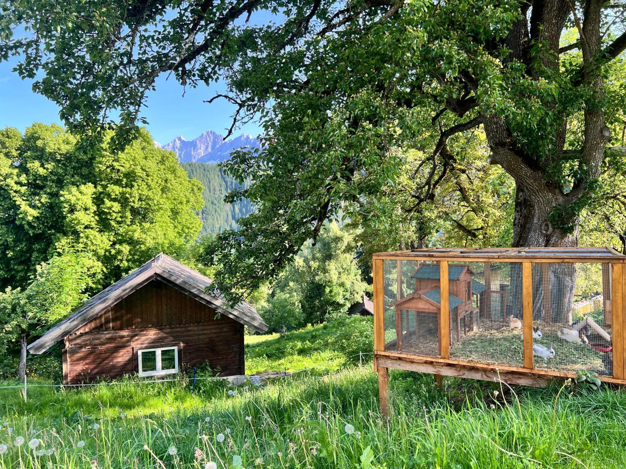 Vom Reiter Apartment Schladming