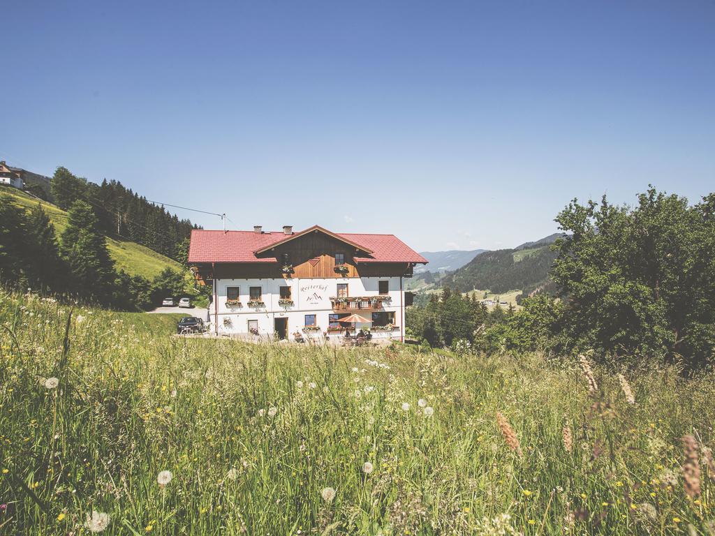 Vom Reiter Apartment